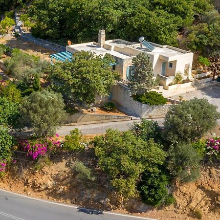 Bougainvilla Φόδελε Εξωτερικό φωτογραφία