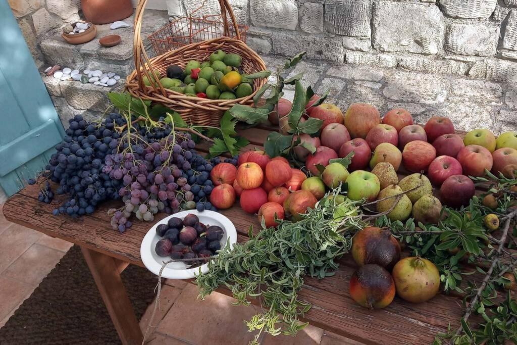 Bougainvilla Φόδελε Εξωτερικό φωτογραφία
