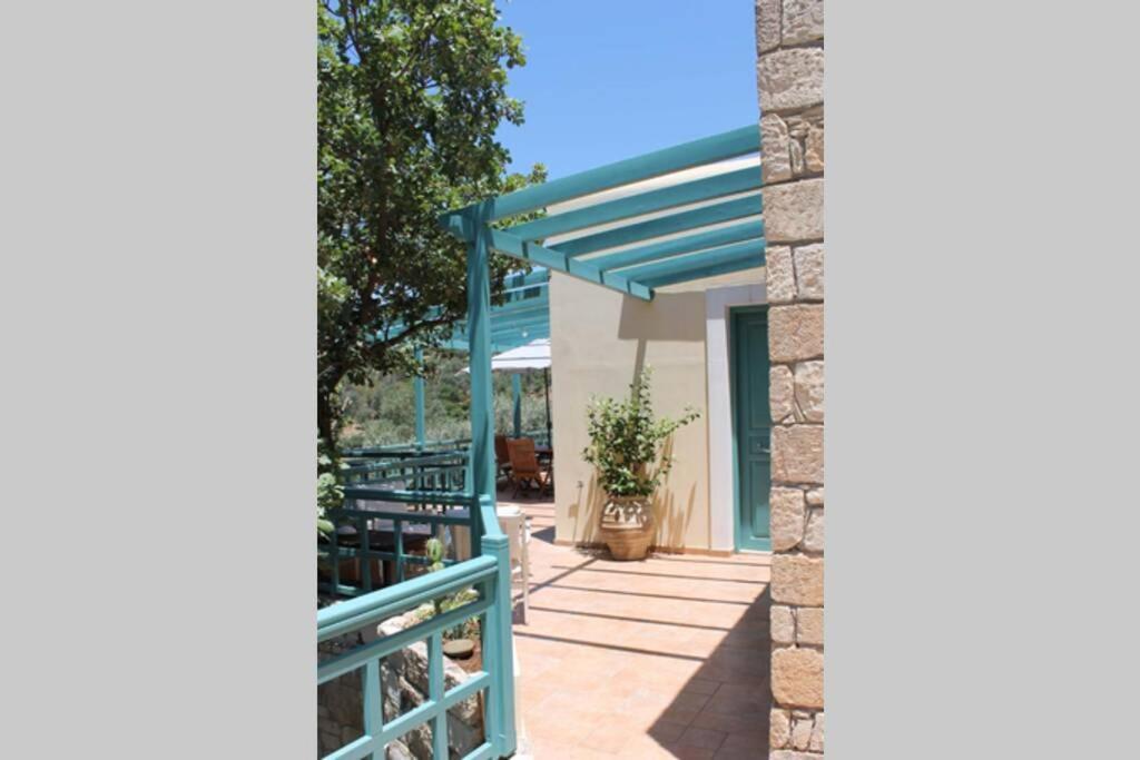 Bougainvilla Φόδελε Εξωτερικό φωτογραφία