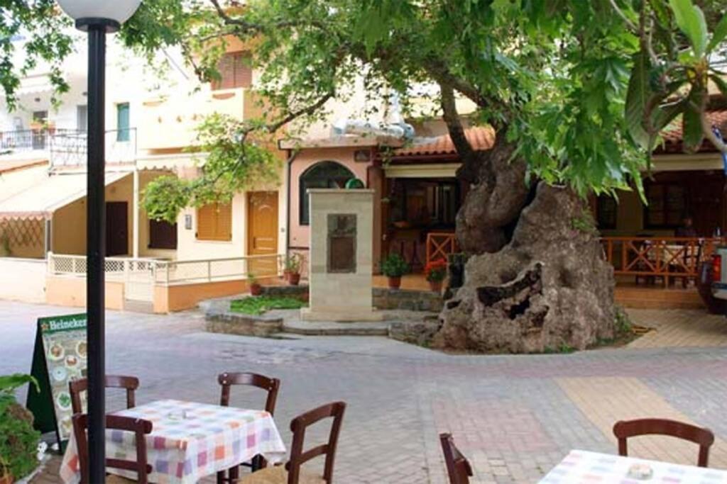 Bougainvilla Φόδελε Εξωτερικό φωτογραφία