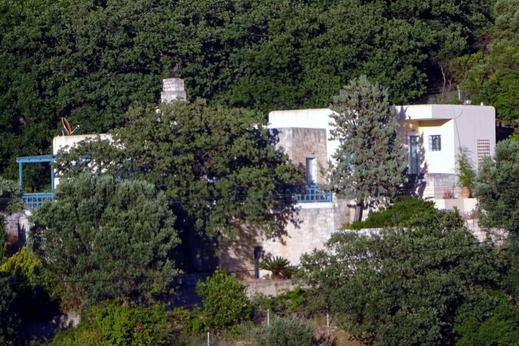 Bougainvilla Φόδελε Εξωτερικό φωτογραφία