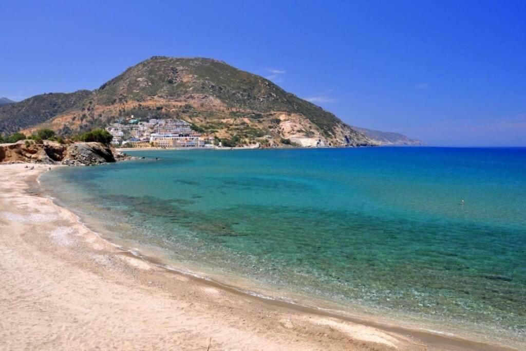 Bougainvilla Φόδελε Εξωτερικό φωτογραφία