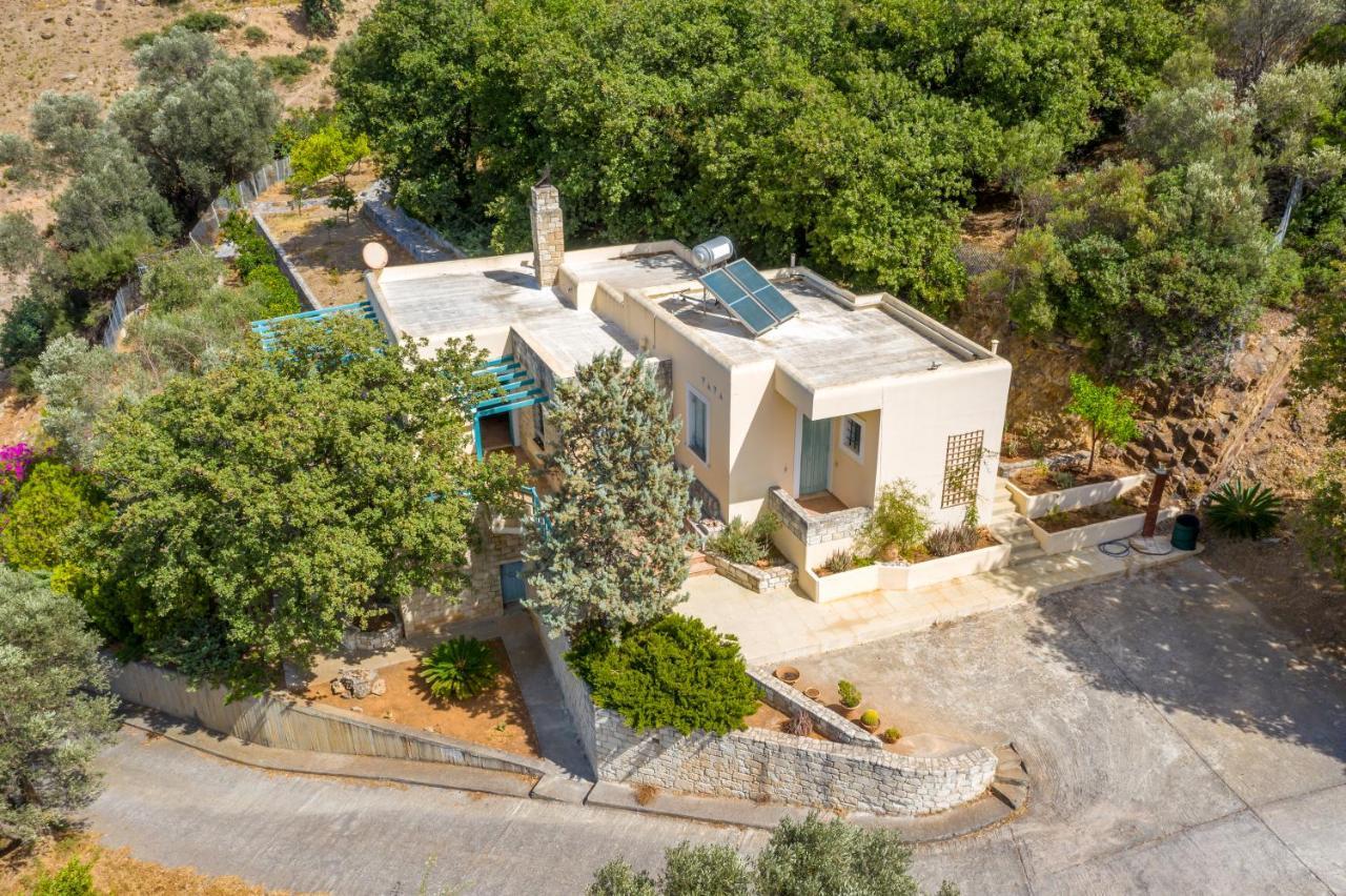 Bougainvilla Φόδελε Εξωτερικό φωτογραφία