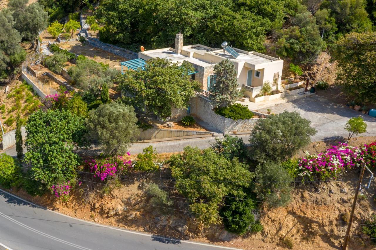 Bougainvilla Φόδελε Εξωτερικό φωτογραφία